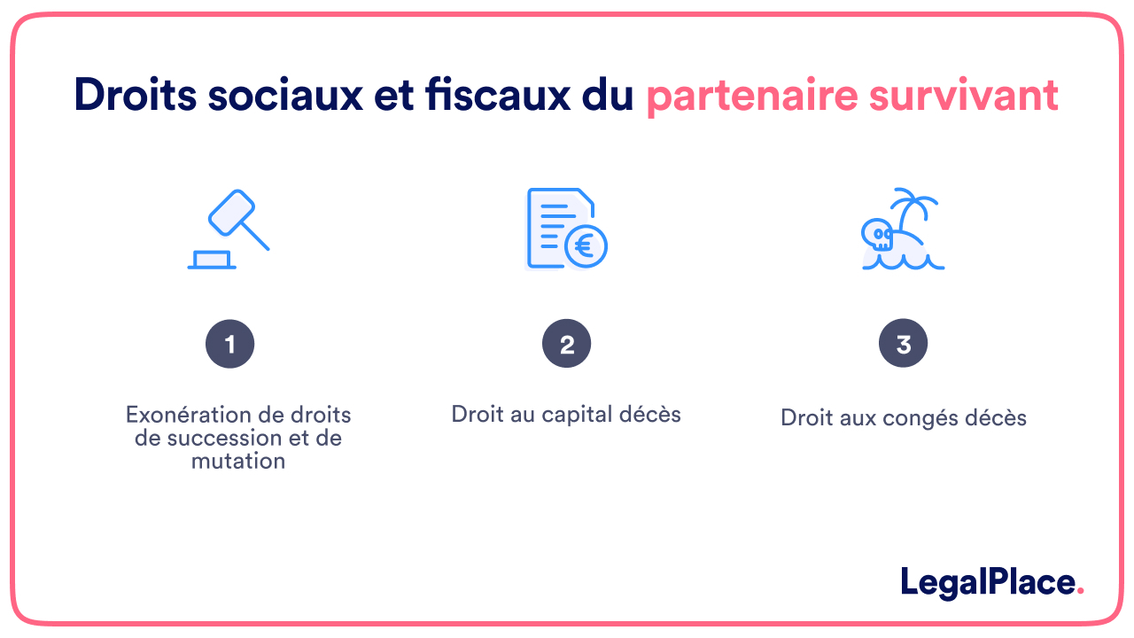 Comment calculer l'actif net comptable en 3 étapes 